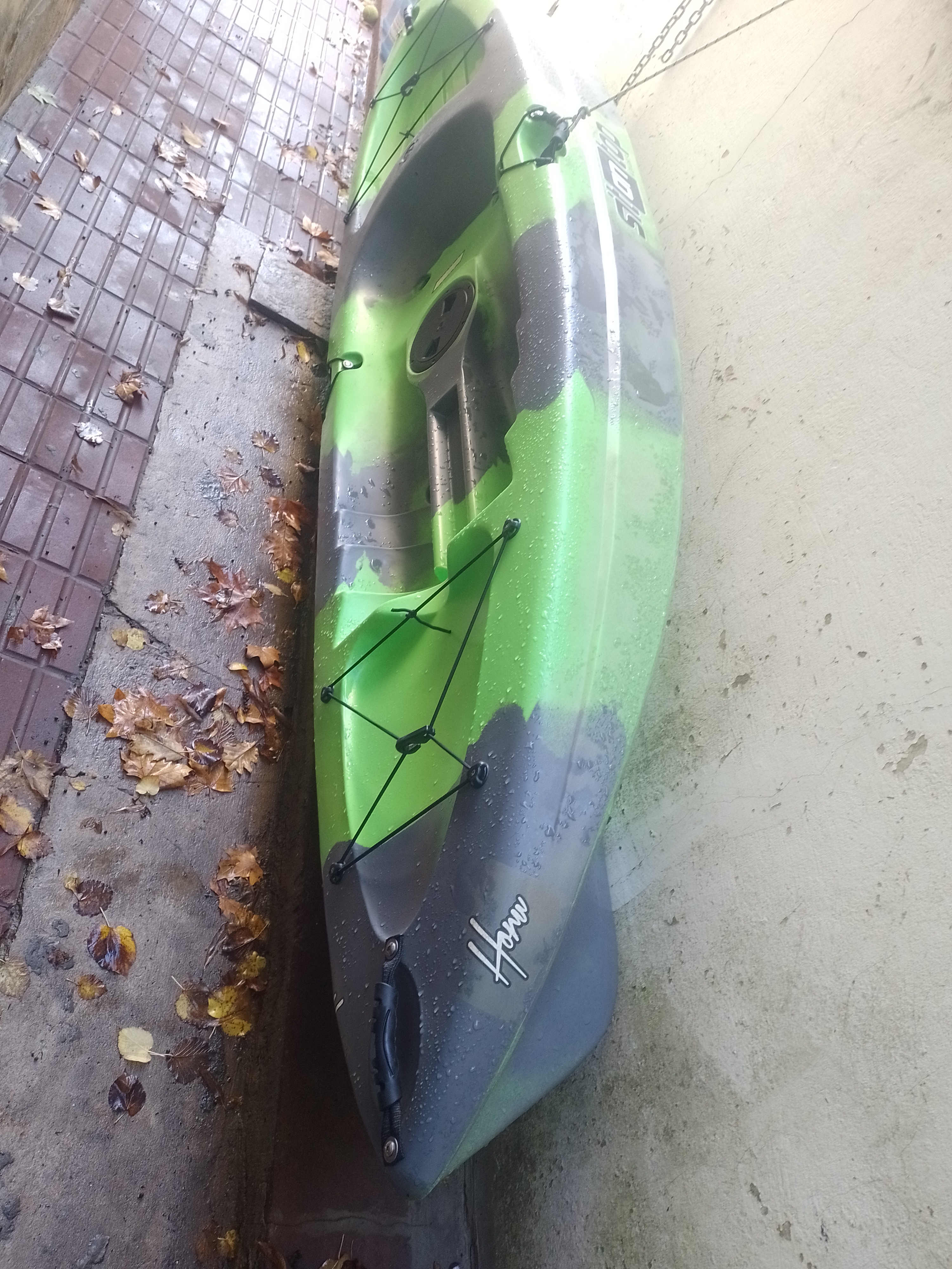 Kayak - Sintontop honu en BANFIELD