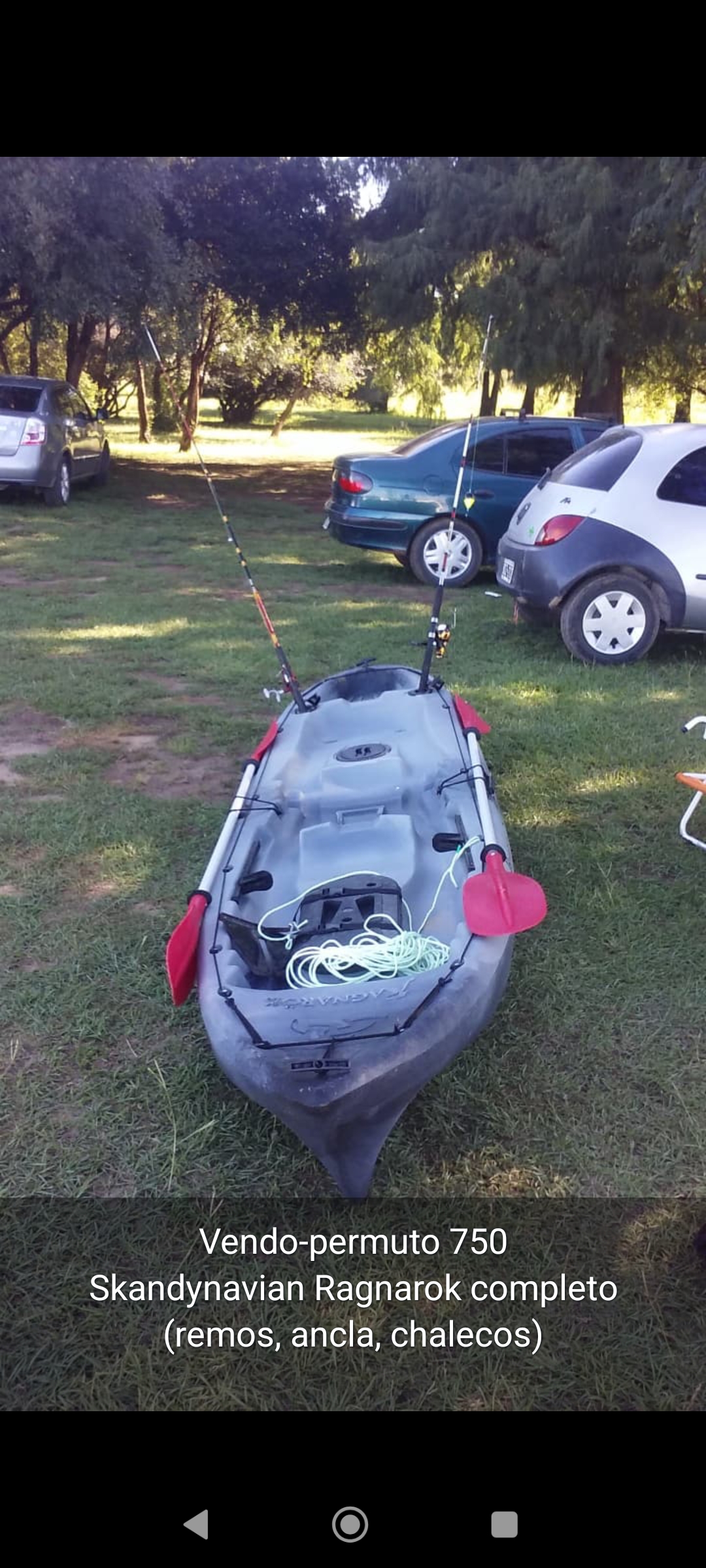 Skandynavian Ragnarok - Imagen principal