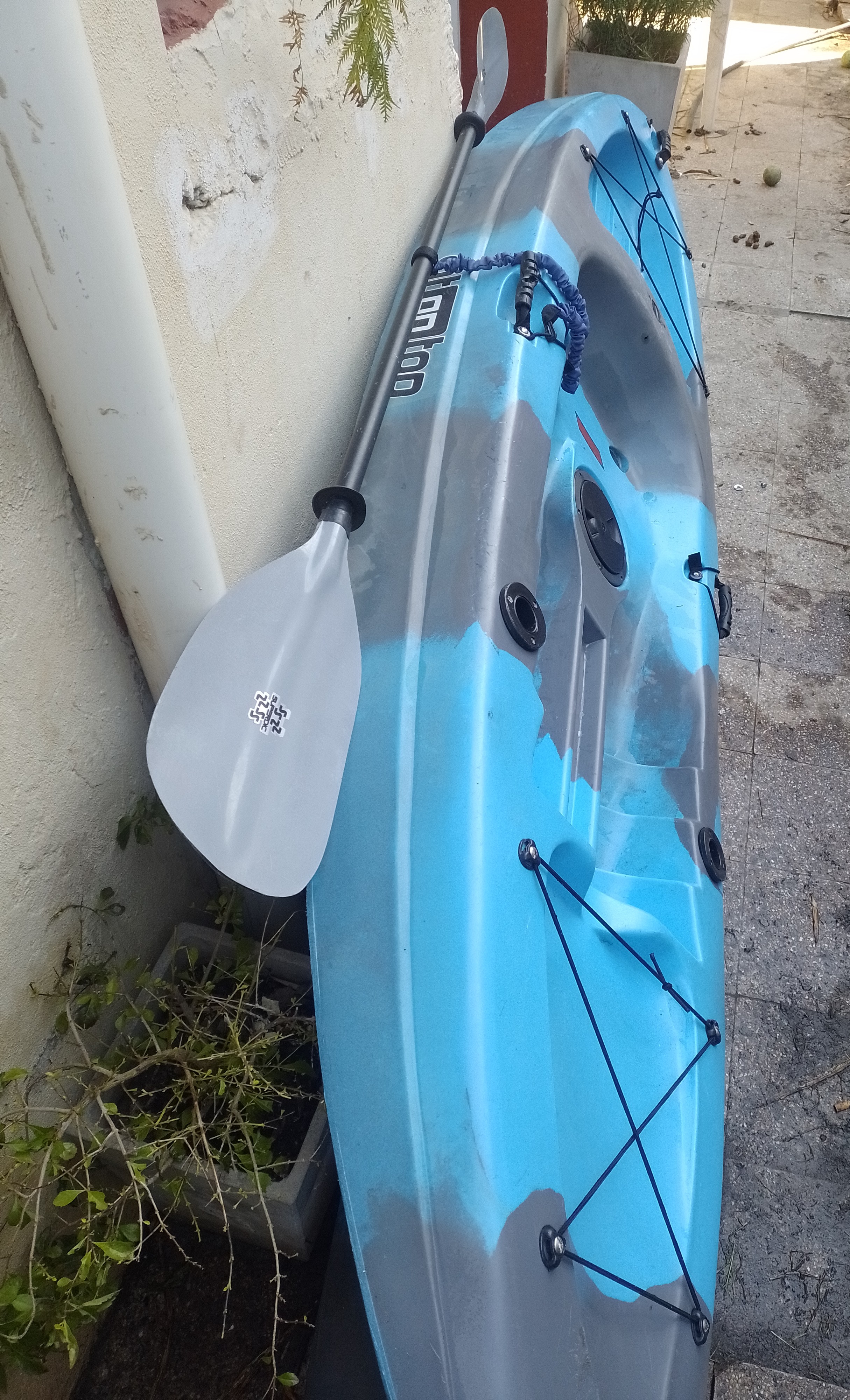 Kayak sintintop honu - Foto 2