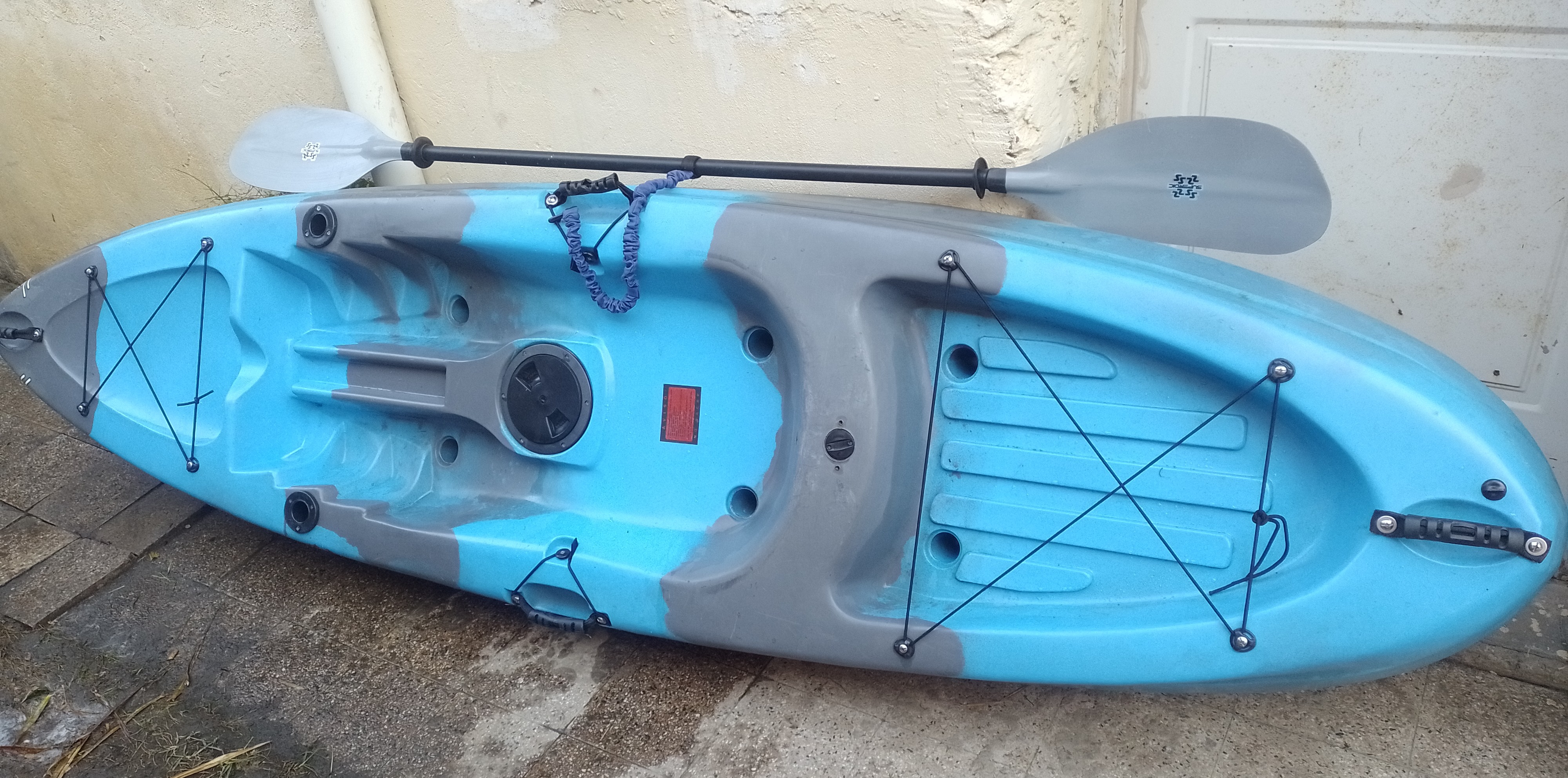 Kayak - Kayak sintintop honu