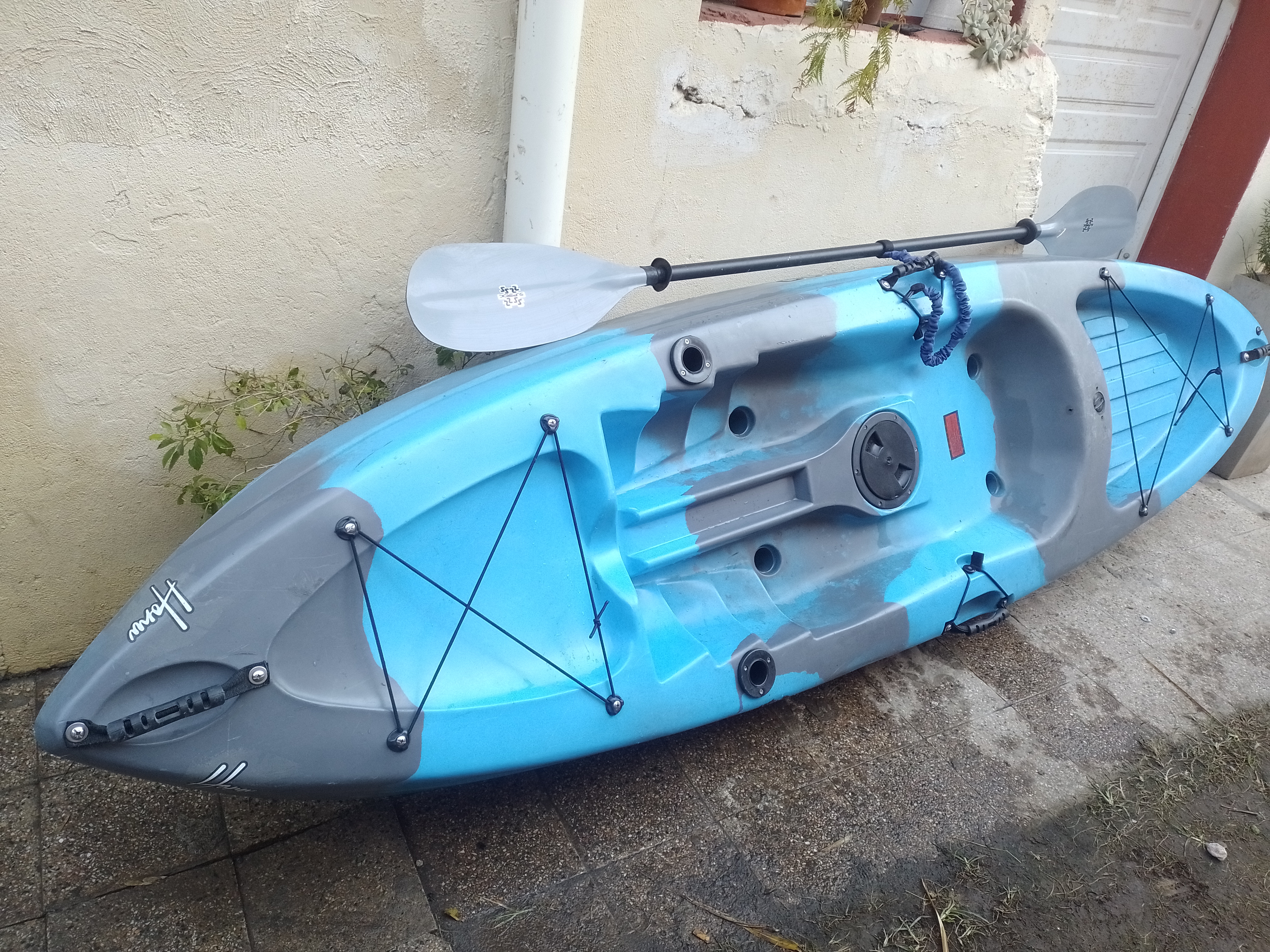 Kayak sintintop honu - Foto 3