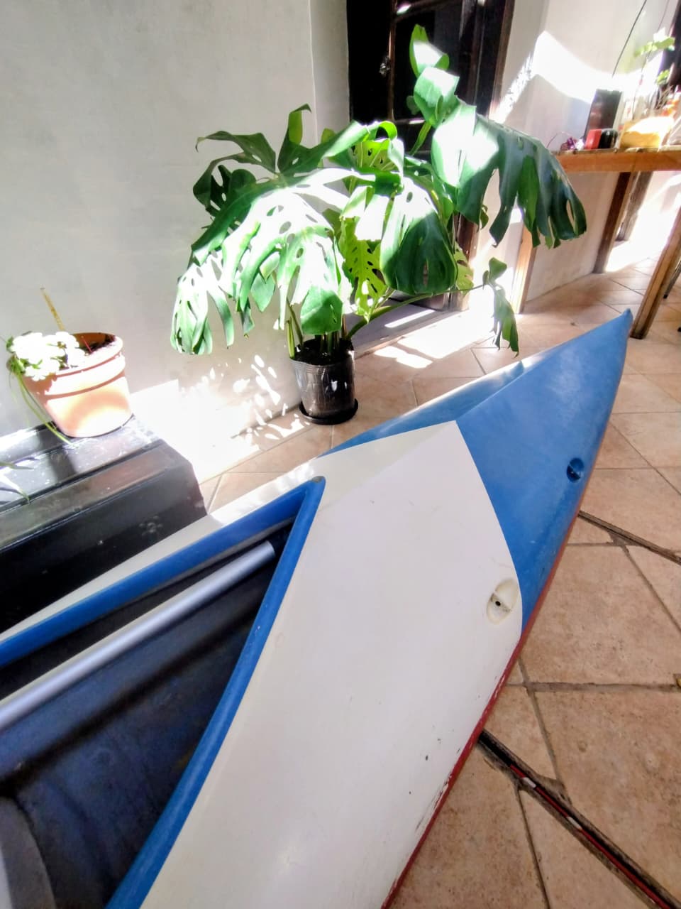 Kayak single baum  - Foto 4