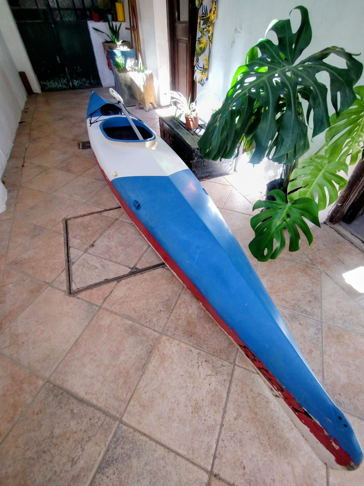 Kayak single baum  - Foto 3