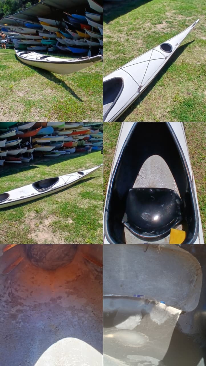 Baum indo - Imagen principal