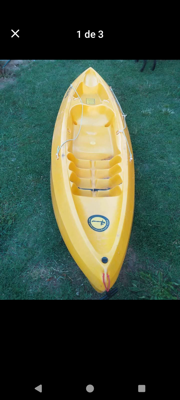 Patagonian bravo - Imagen principal